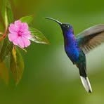 Nancy Curbelo - Facebook