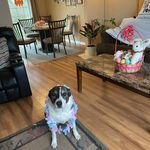 Nancy Curley Brylski - @nancycurleybrylski - Instagram