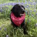 Nancy Luff Curl - Facebook
