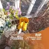 nancycurl183 - @nancycurl183 - TikTok