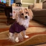 Nancy Cusick - @nancycusick4 - Instagram