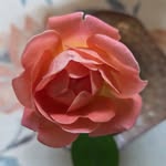 Nancy Cusick Wagner - @freefromgrades9807 - Instagram