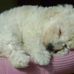 Nancy Cvitkovic - Facebook