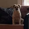 NancyDabs - @nancydabs - TikTok
