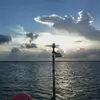 Nancy Daffron941 - @nancydaffron941 - TikTok