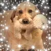 Nancy - @nancydakin865 - TikTok