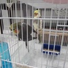 NancyDamann - @nancy.damann7629 - TikTok