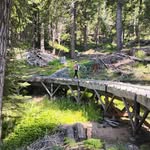 Nancy Danforth - @nldanforth - Instagram
