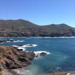 Nancy Daoud - @nancers81 - Instagram