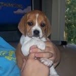 Nancy Davison - @davison3135 - Instagram