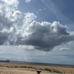 Nancy davison - @nancydavison659 - Instagram