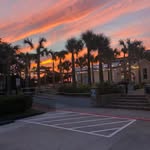 Nancy Griggs Davison - @ngdavison73 - Instagram