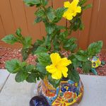 Nancy Jackson Dawes - @nancy.dawes.35 - Instagram
