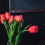 Nancy Dear - @nothingpeculiar - Instagram