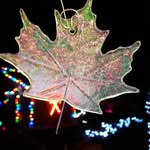 Nancy Dearborn - Glass Artist - @nancydearborn_glassartist - Instagram