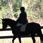 Nancy Deeds Holden - @nancy.d.holden - Instagram