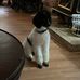 Nancy Deering - Facebook