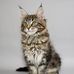 Nancy Defoe - Facebook