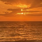 Nancy Delp - Facebook