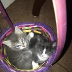 Nancy Delp - Facebook