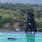 Nancy Demarest Brown - @ktnnanbrown - Instagram