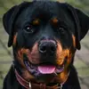 Nancy Demaret - @nancy.demaret - TikTok