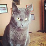 Nancy Denham - @paddynent - Instagram