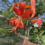 Nancy C. Denney - @nancycdenney - Instagram