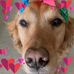 Nancy Densmore - Facebook