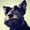 Nancy Detwiler - @nancydetwiler - TikTok