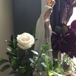 Nancy Devlin - @ncd1536 - Instagram