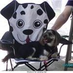 Nancy Devlin Bolinski - @nancydevlinbolinski - Instagram