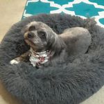 Nancy McDougall Devlin - @mcdevlin222 - Instagram