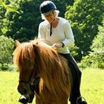 Nancy Wines-DeWan - @winesdewan - Instagram