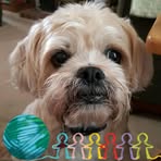 Nancy Dibble - Facebook