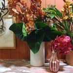 @nancydickiebird - Instagram