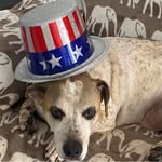 Nancy Dickman - @lovemauidancerun - Instagram