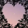 Nancy Gudiel - @nancy.gudiel8 - TikTok