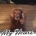 Nancy Digregorio - Facebook