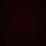 Nancydigregorio - @nancy_02.2 - Instagram