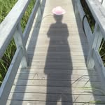 Nancy Dine - @nancydine - Instagram