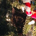 Nancy Doane - @nancy.doane.5501 - Instagram