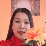 Nancy Doane - @nancyspressons - Instagram