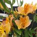 Nancy Doherty - Facebook