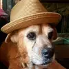Lady Doolittle - @nancydoolittle02 - TikTok