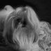 Nancy Doolittle - Facebook