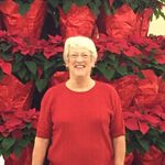 Nancy Dorey - @nancy.dorey - Instagram
