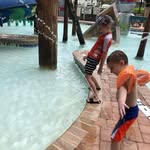 Nancy Dorn - @dorn1955 - Instagram