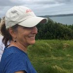 Nancy Dorn - @npdorn - Instagram