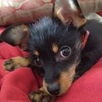 Nancy Zwiep Dornbush - @nancydornbush - Instagram